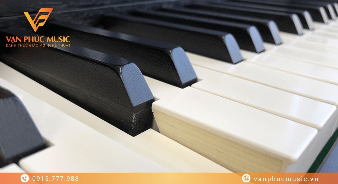 KAWAI CA67B