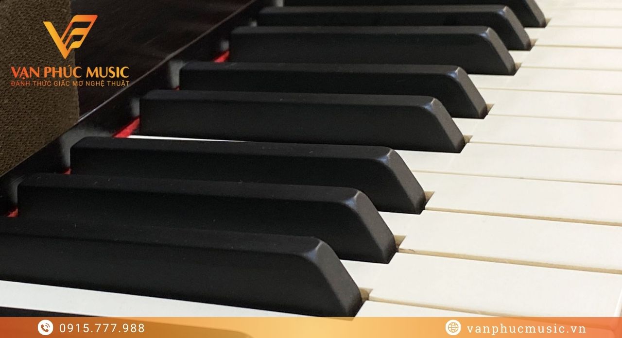 KAWAI CA67M