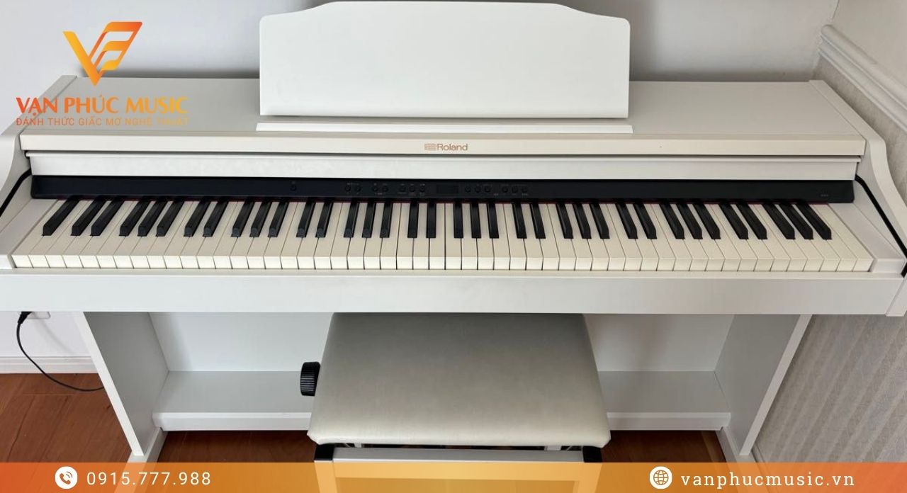 ROLAND RP 501WH