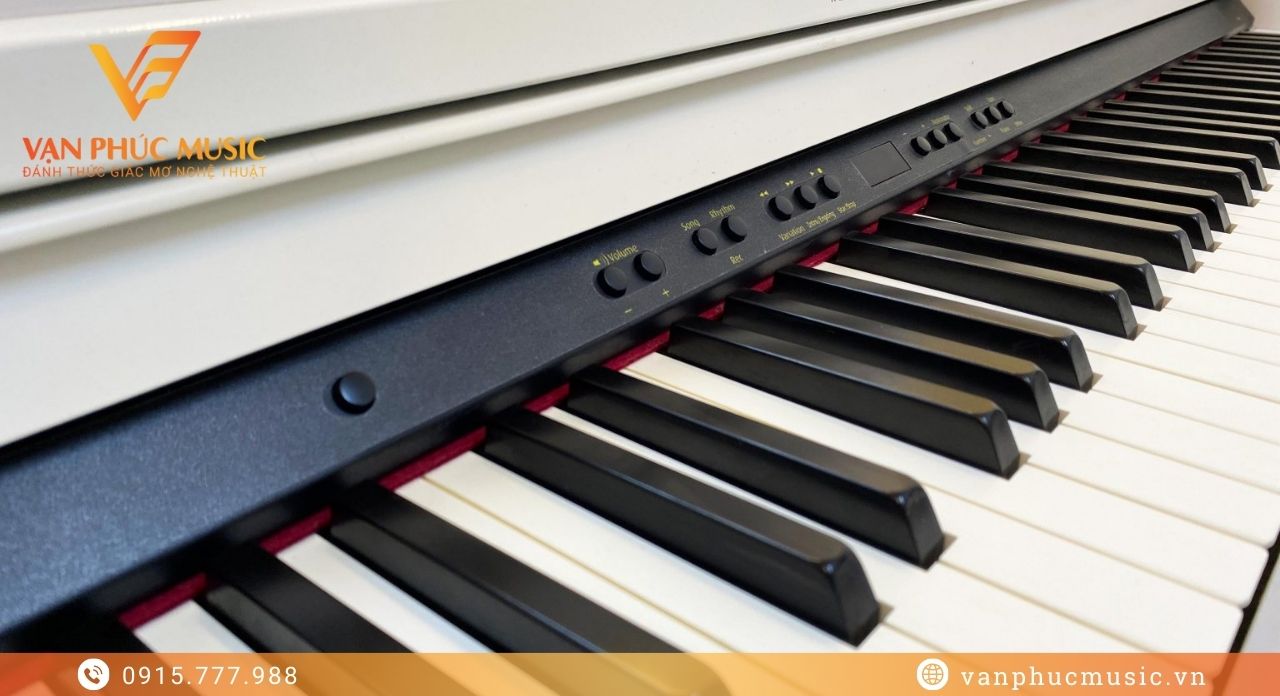 ROLAND RP 501WH