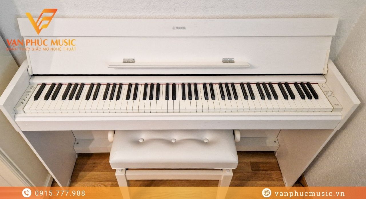 YAMAHA YDP S54WH