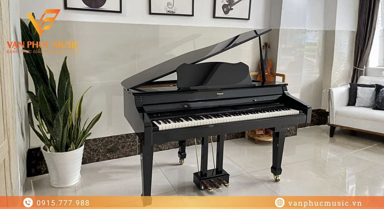 Roland RG 3F-PE