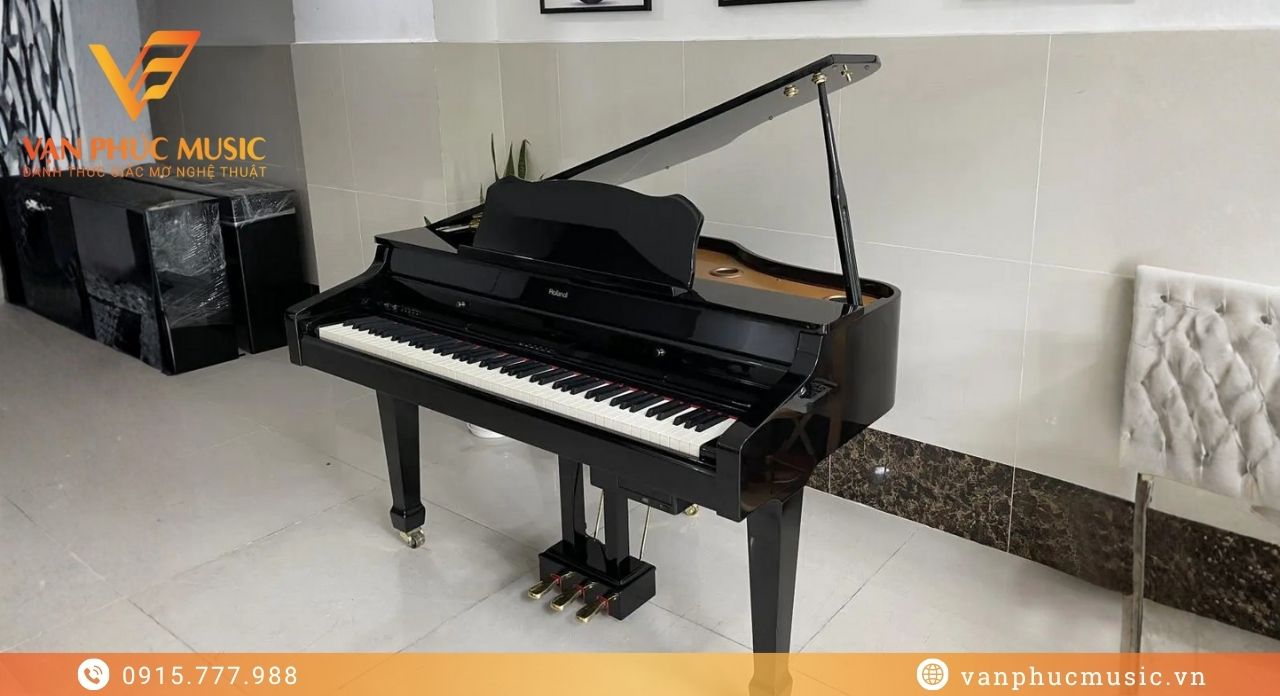 Roland RG 3F-PE