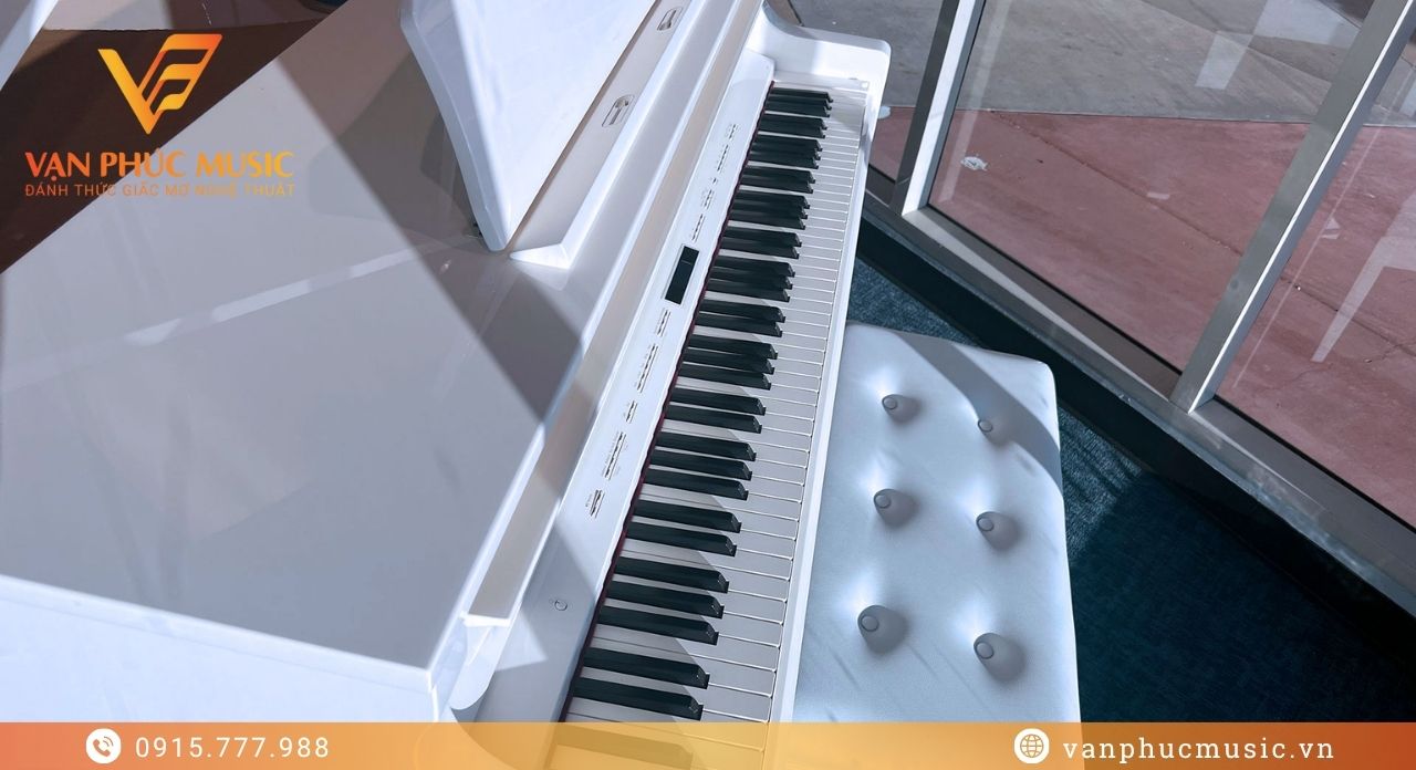 ROLAND GP 609PW