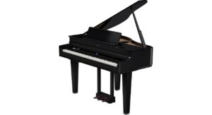 PE - Polished Ebony