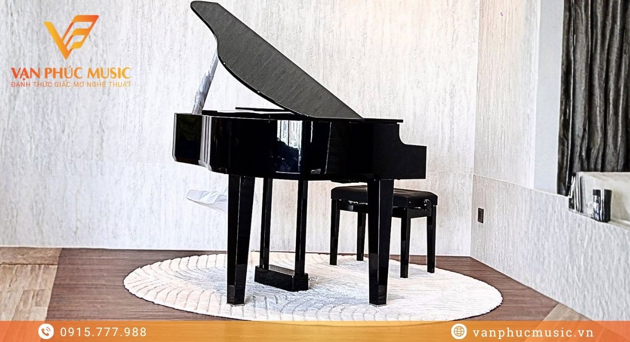 ROLAND GP 6PE