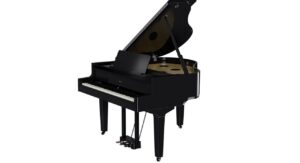 PE - Polished Ebony