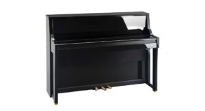 PE - Polished Ebony