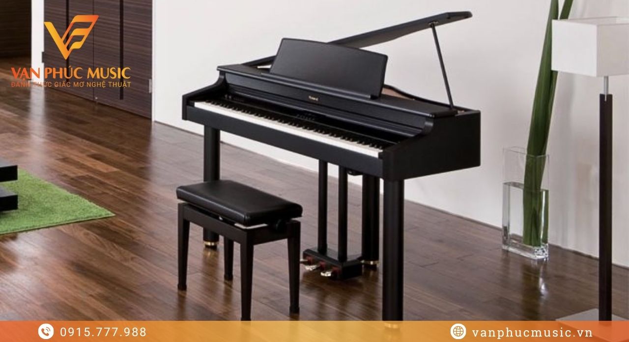 ROLAND RG 1F-SB