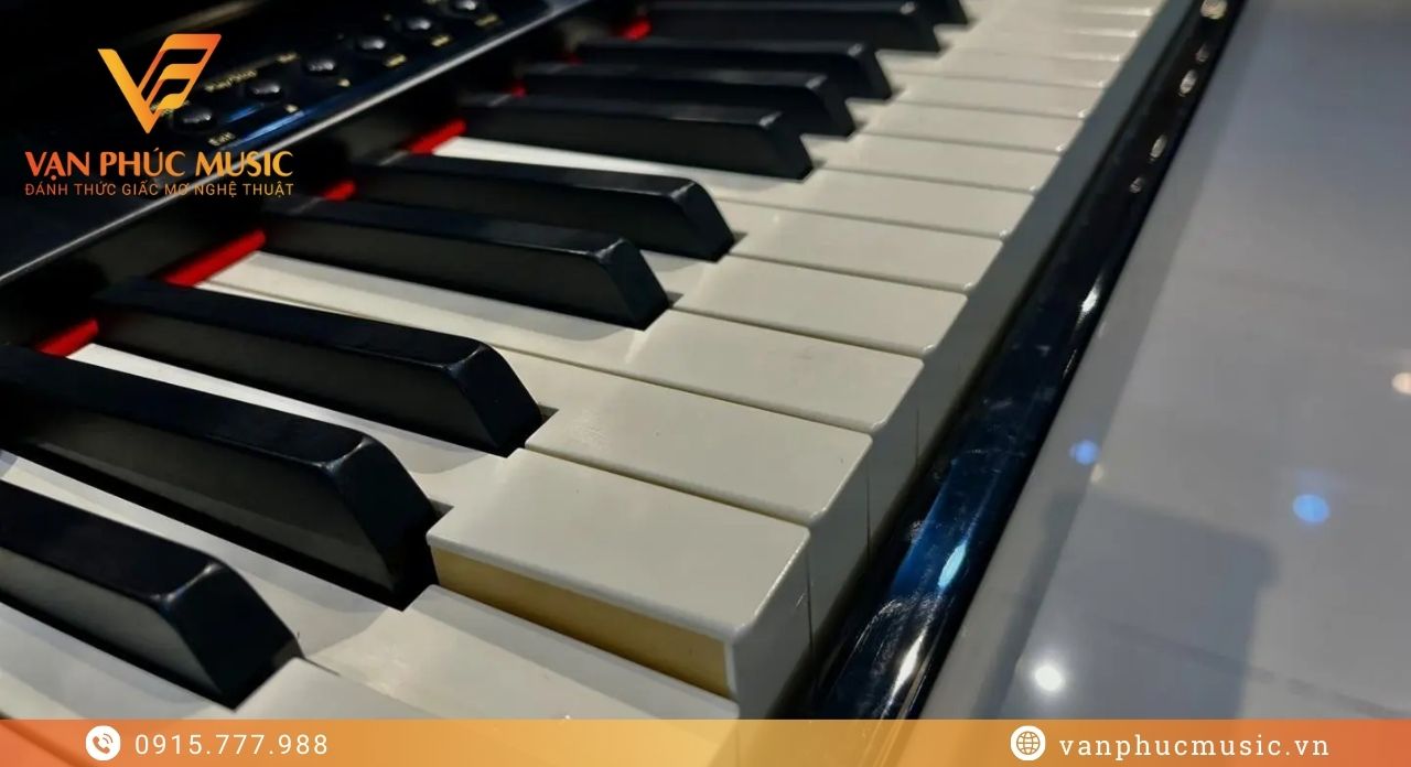 ROLAND RG 1F-SB