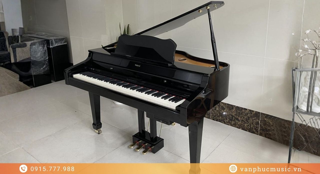 ROLAND RG 1F-SB