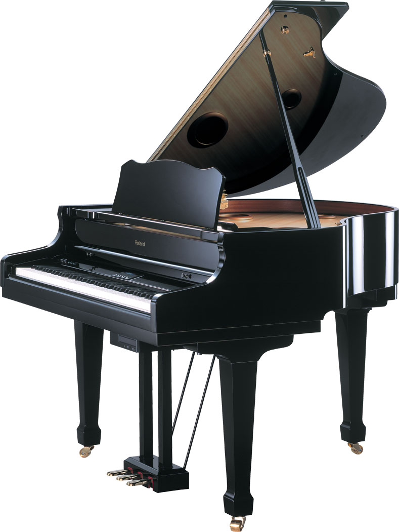 ROLAND RG-7PE