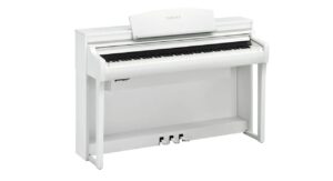 WH - White