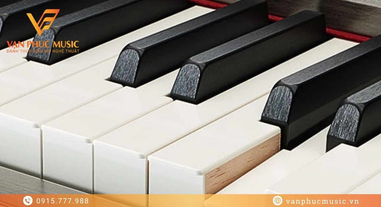 YAMAHA CVP 809PW