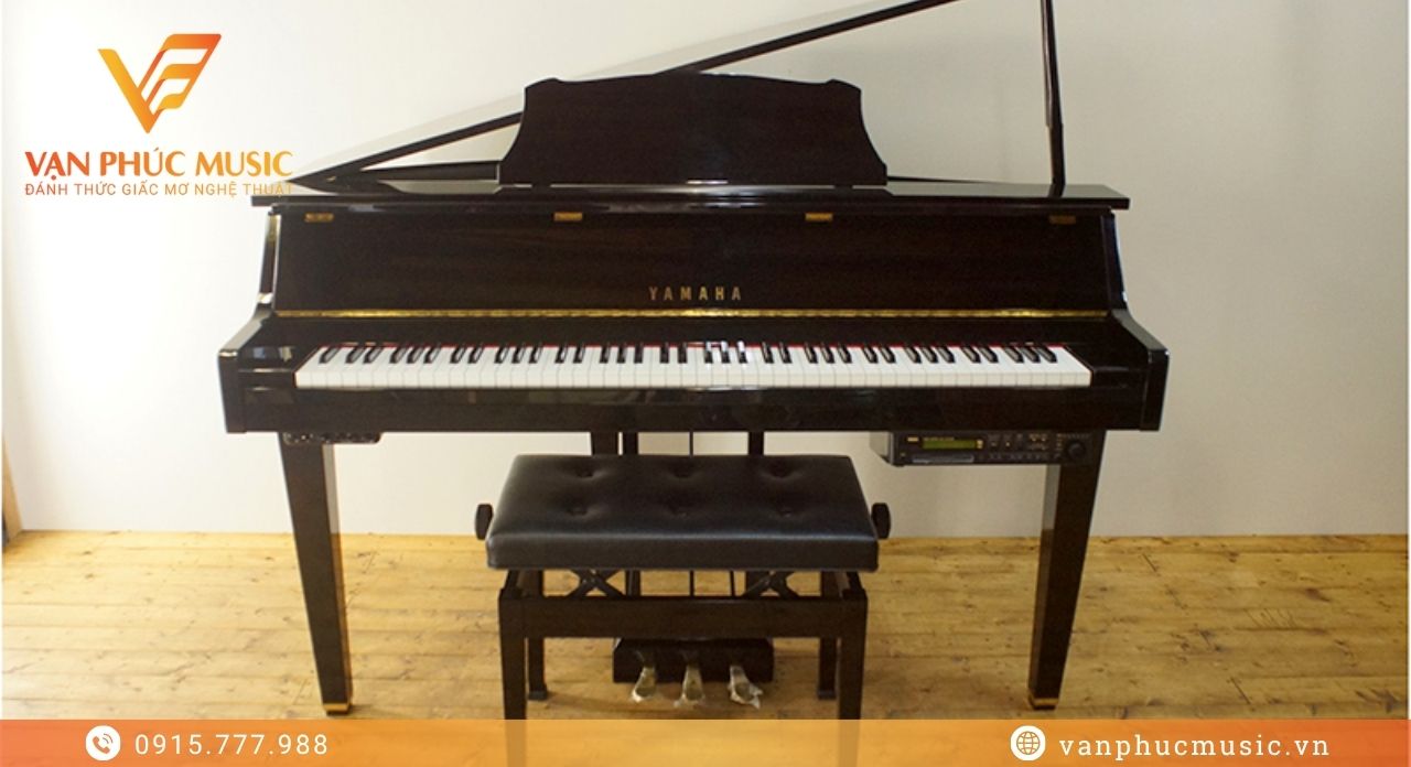 YAMAHA DGP 2XG