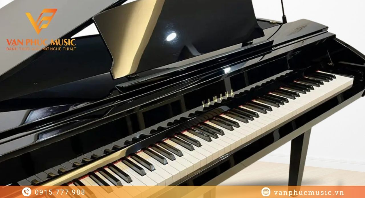 YAMAHA DGP 2XG