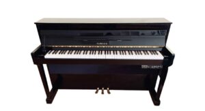 PE - Polished Ebony