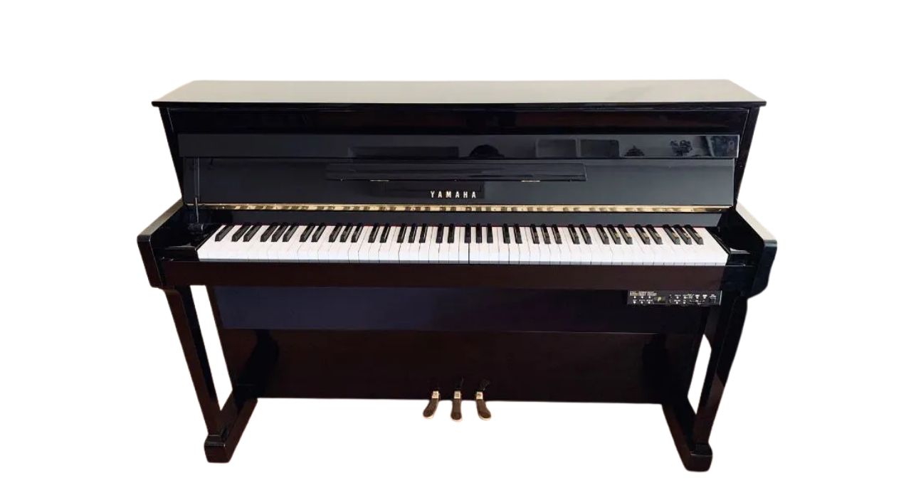 YAMAHA DUP 22PE