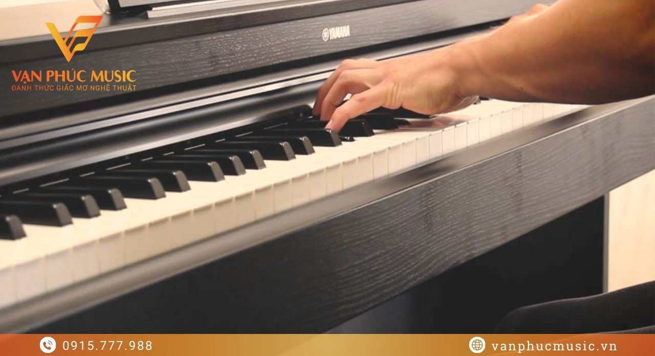 Yamaha YDP S55B