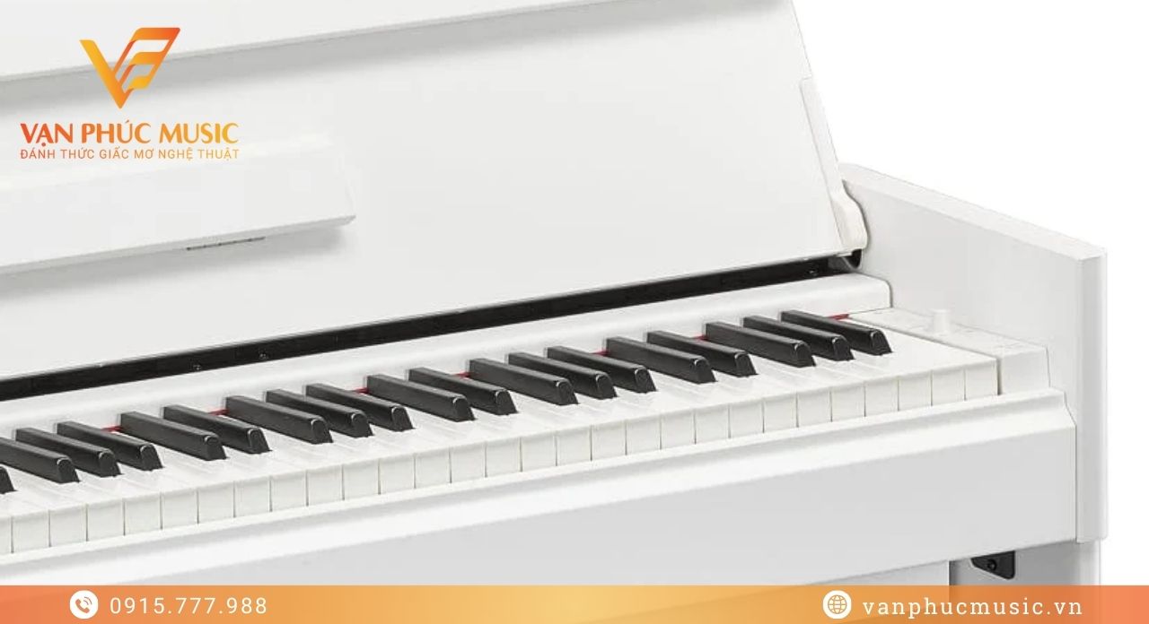 YAMAHA YDP S55WH