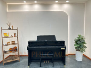 PE - Polished Ebony