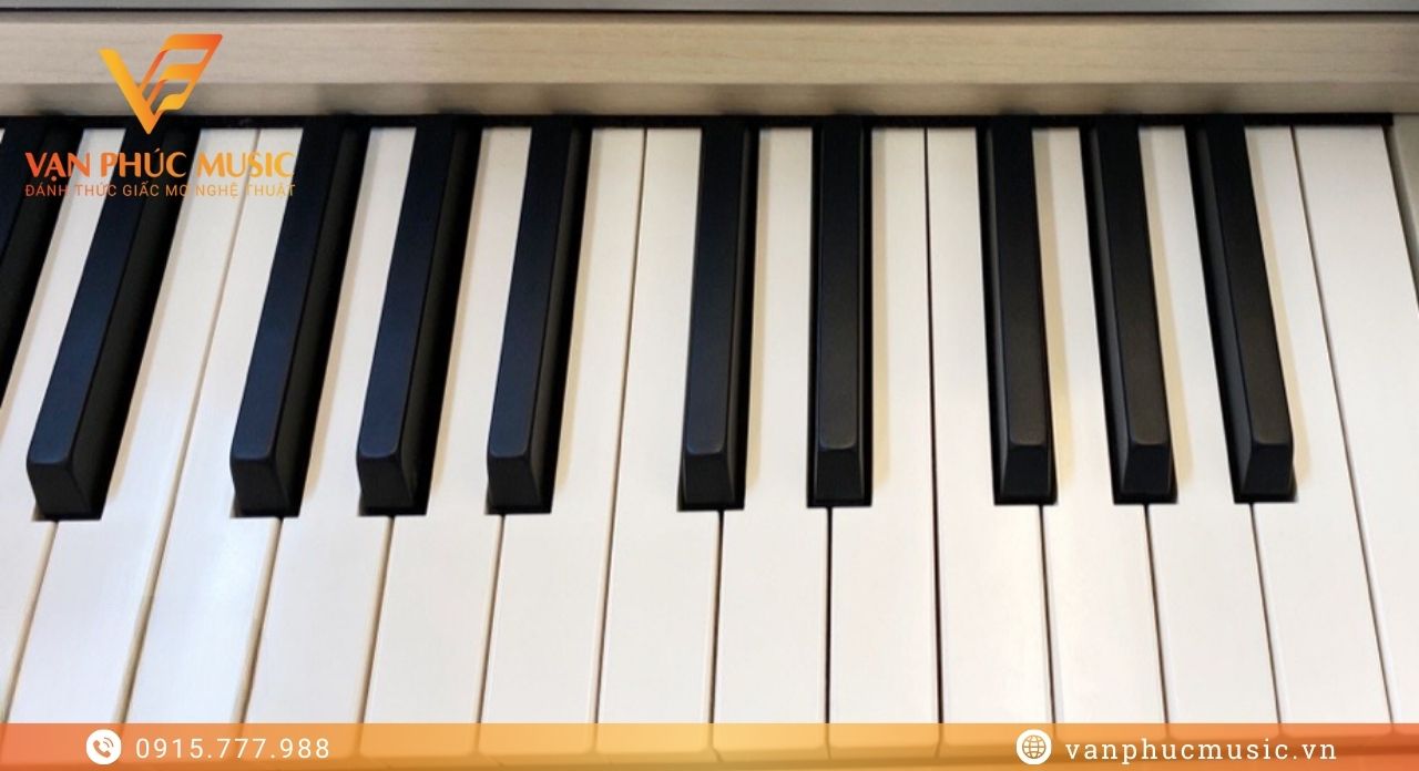 Kawai CA 401LO
