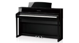 EP-Polished Ebony