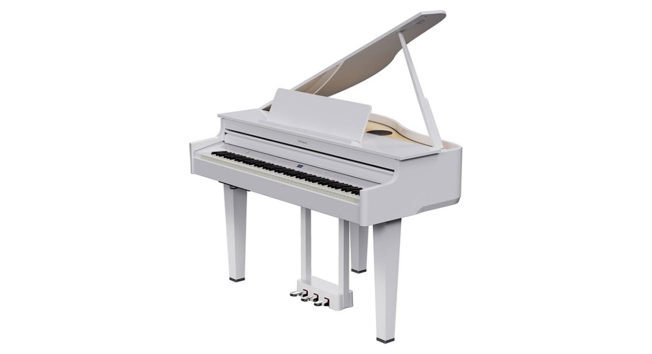 ROLAND GP 6PW