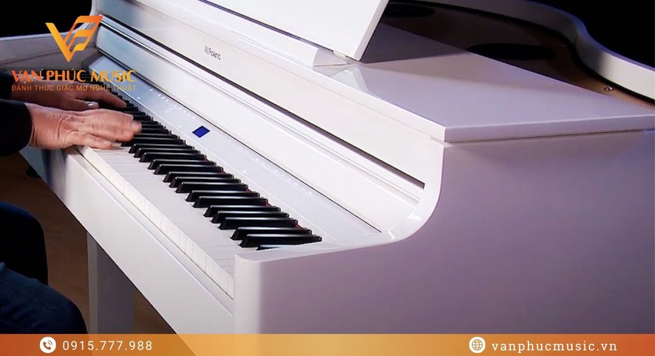 Roland GP 6PW