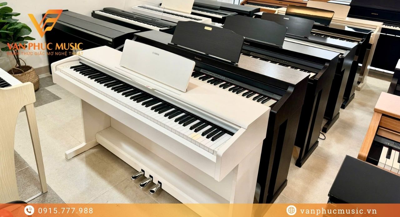 Roland GP 9PW