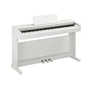 WH - White