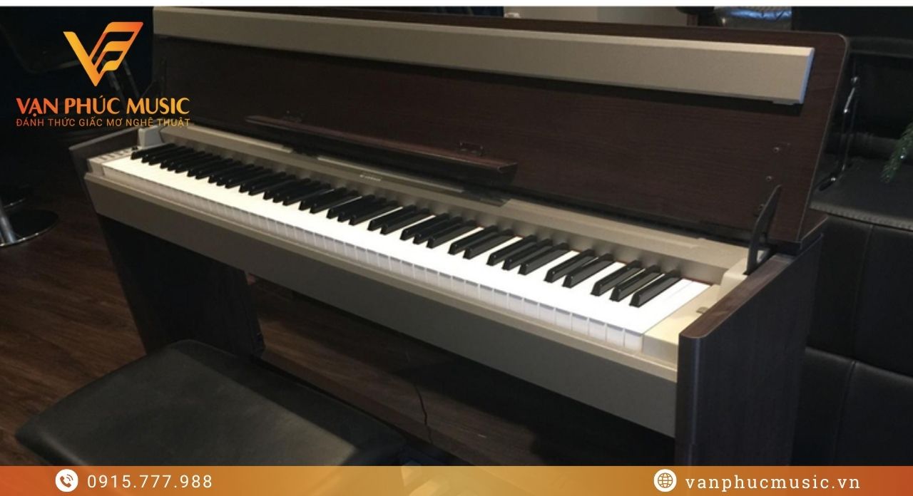 YAMAHA YDP S30BN