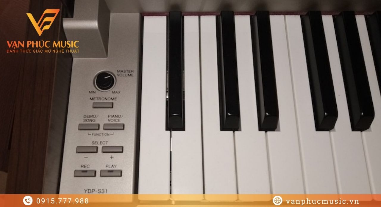 YAMAHA YDP S31BN