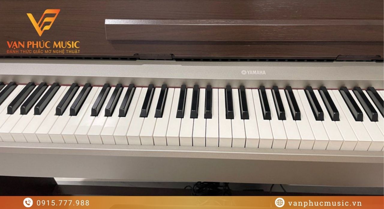 YAMAHA YDP S31BN