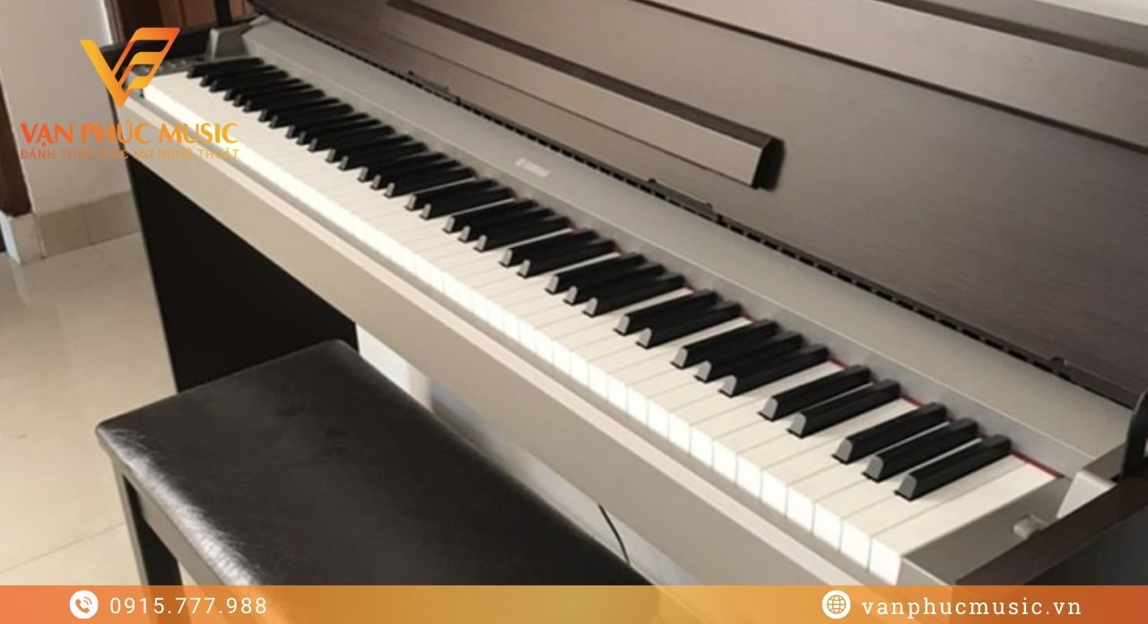 YAMAHA YDP S31BN