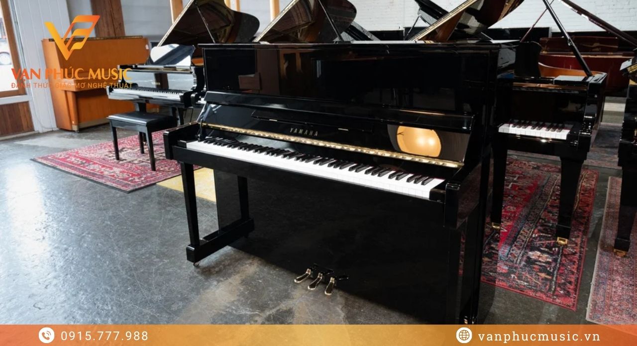 YAMAHA YM5SD