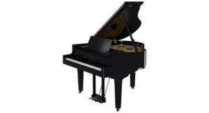PE - Polished Ebony