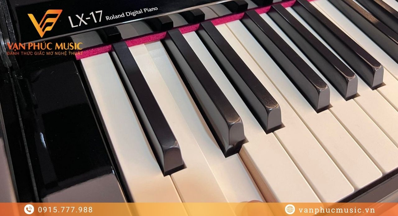 bàn phím Roland LX-17PE