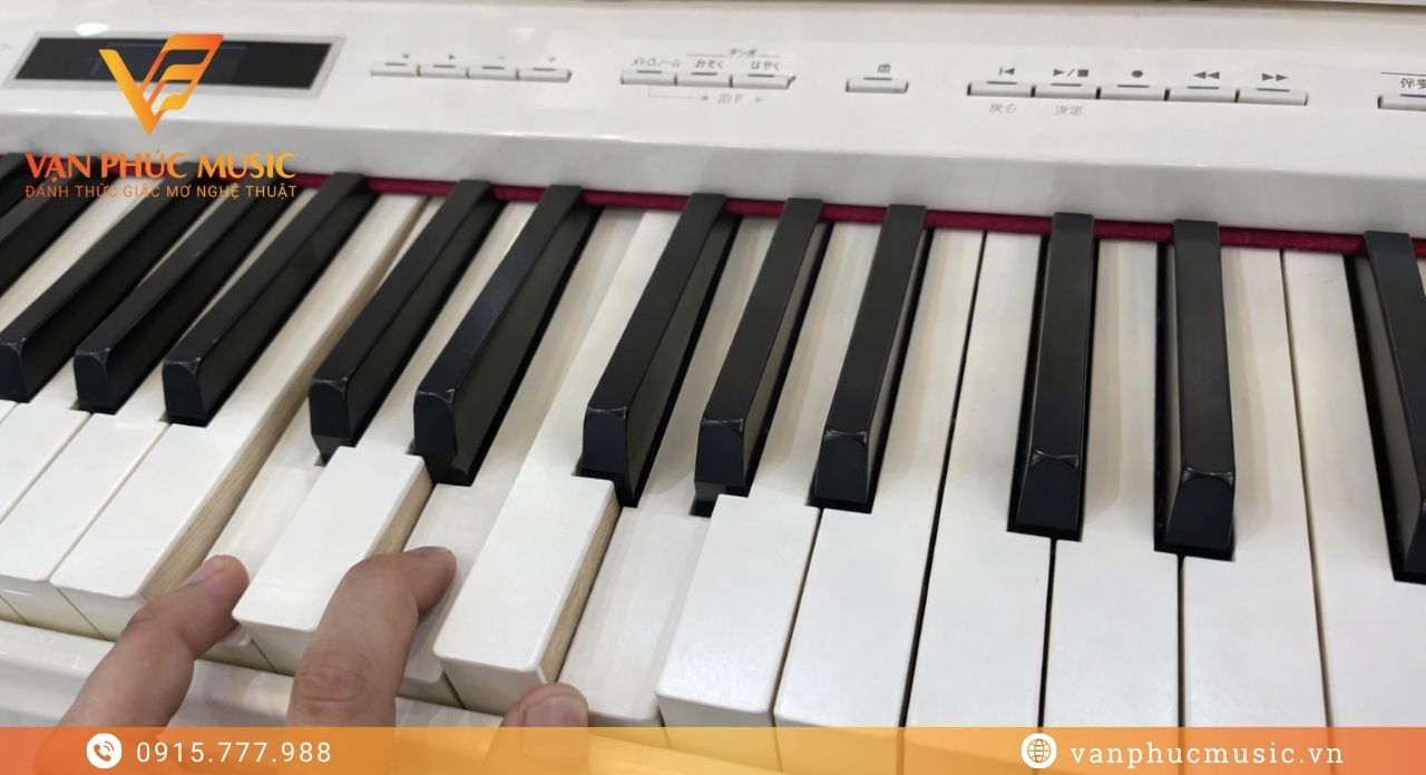 bàn phím roland lx-17pw