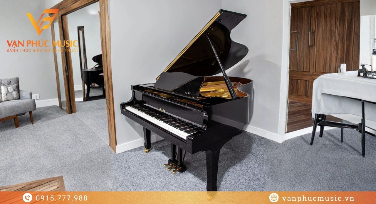 YAMAHA C5