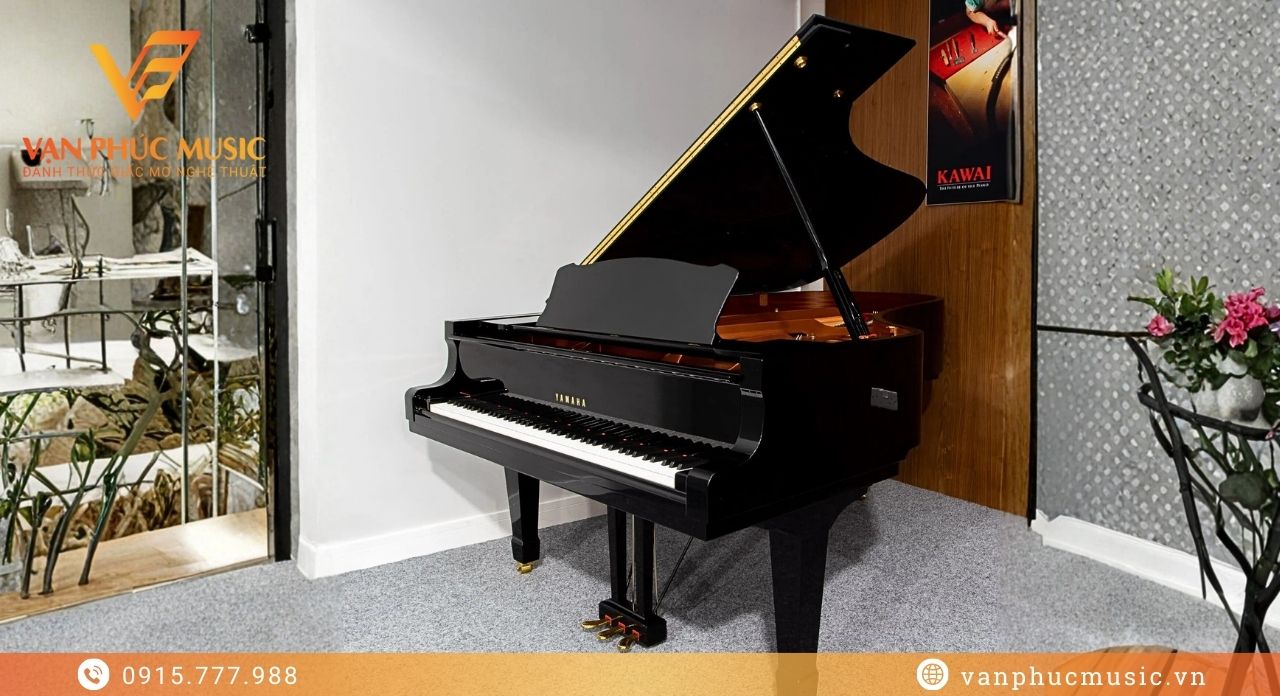 YAMAHA C7