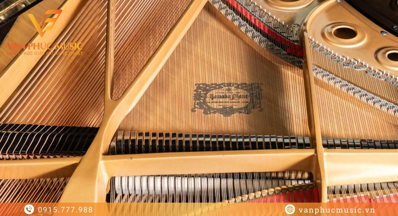 đàn grand piano yamaha c7b
