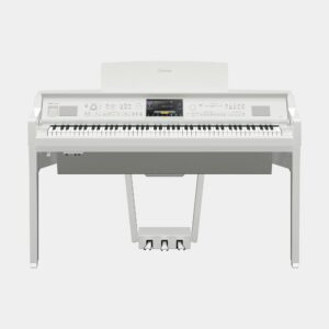 PW - Gloss White