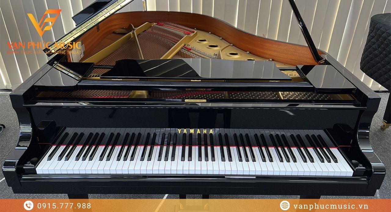YAMAHA G2E
