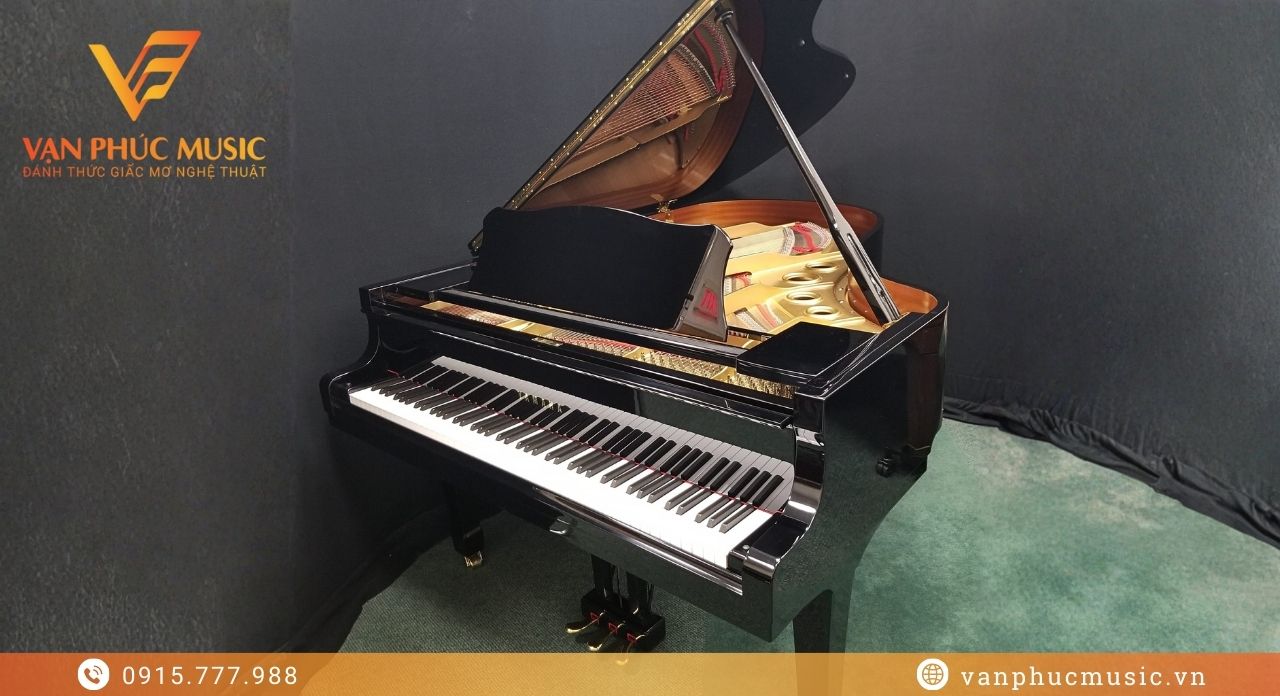 YAMAHA G5