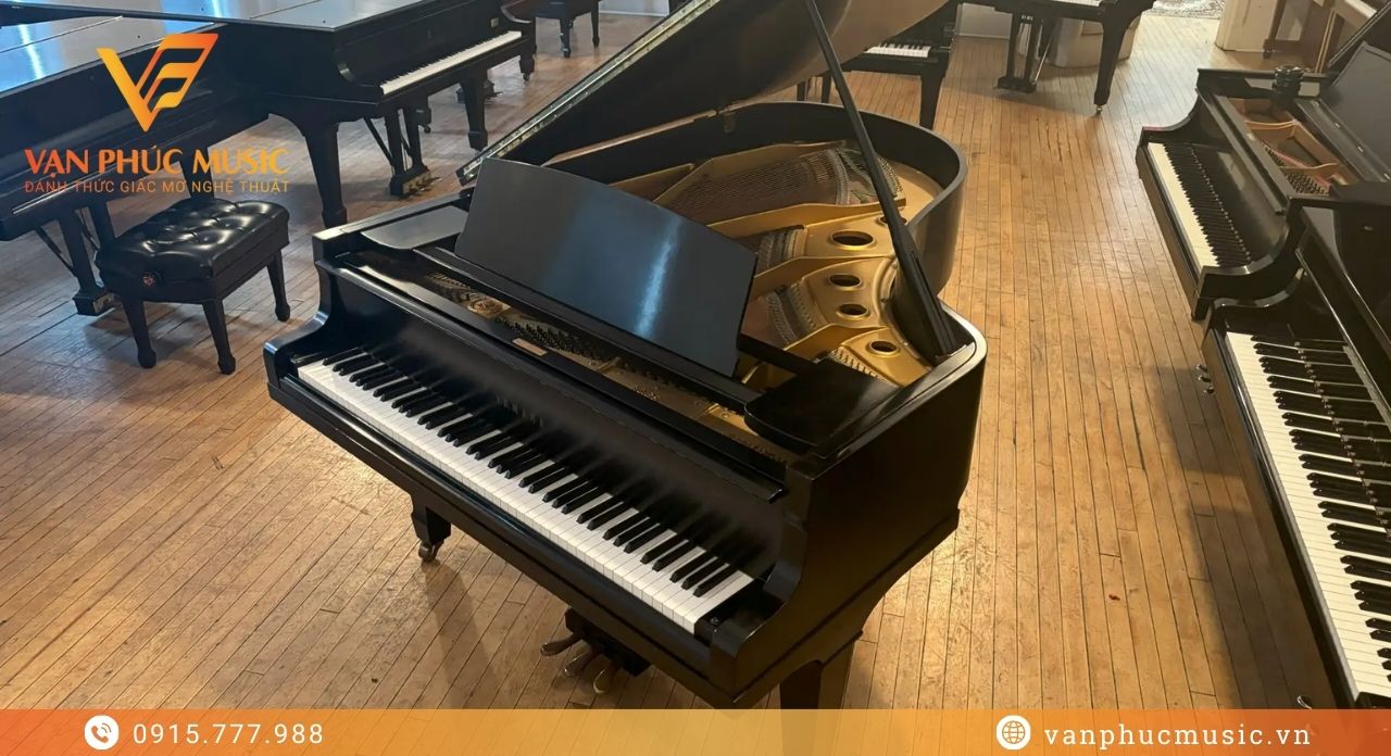 yamaha g5 đã qua sử dụng