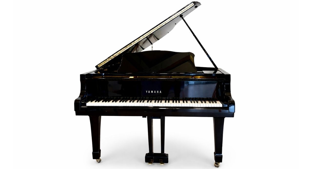 YAMAHA G5A