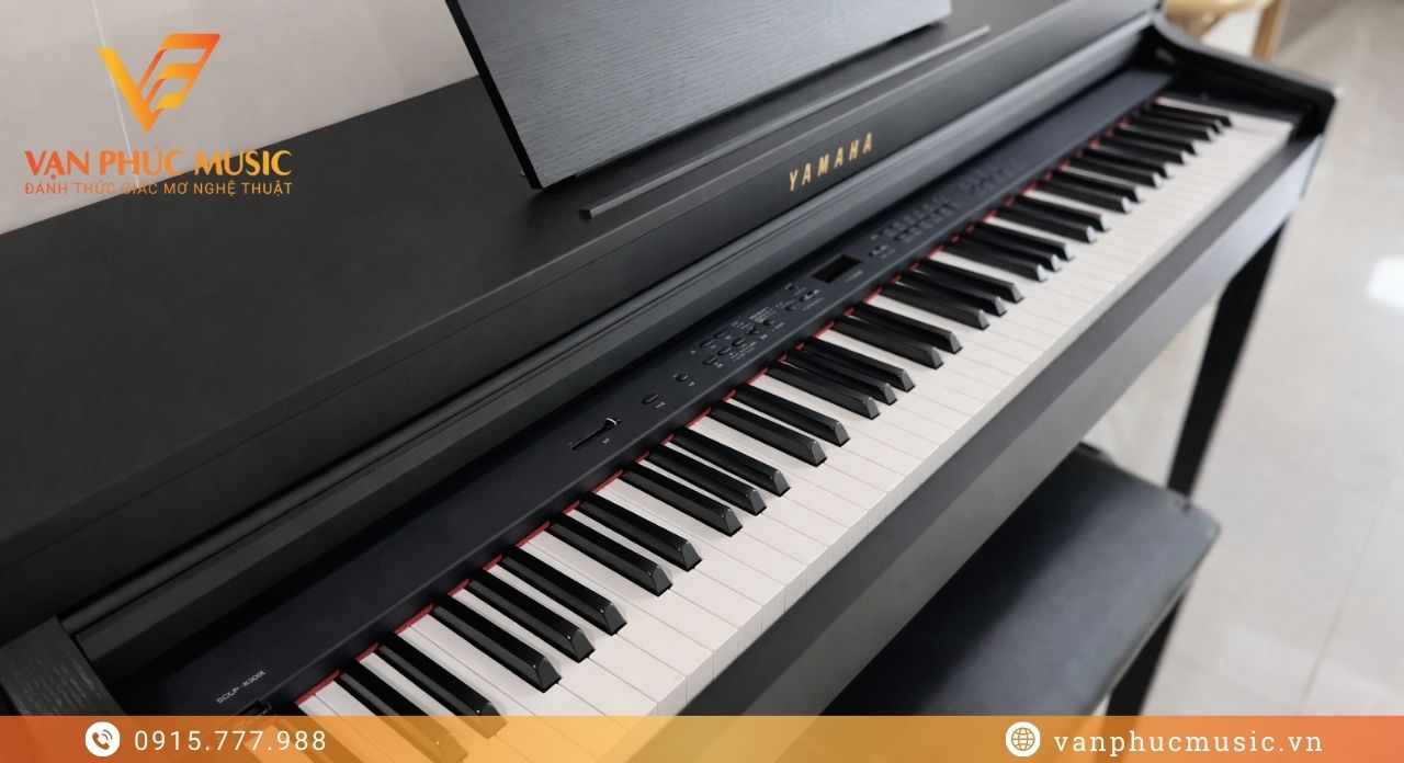 YAMAHA SCLP-430B