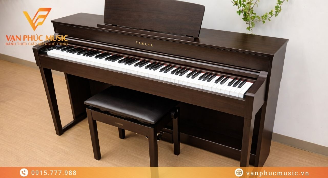 Yamaha SCLP 5450BN