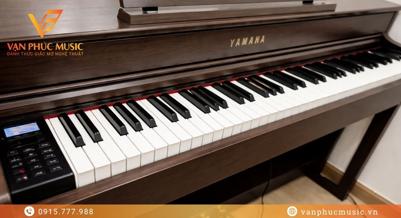 Yamaha SCLP 5450BN